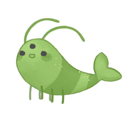 Shrimp